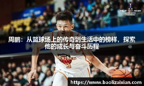 BB贝博登录入口